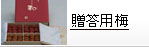 �����p�~