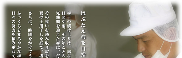 園主 小阪孝太郎 はぶたえ梅を目指して