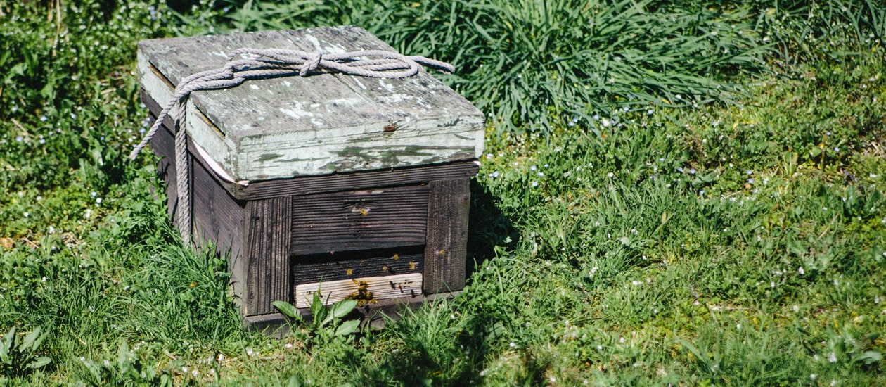 受粉用ミツバチの巣箱