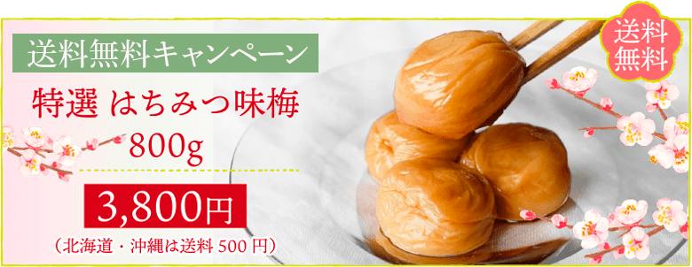 送料無料 特選はちみつ味梅800gが送料無料で3800円