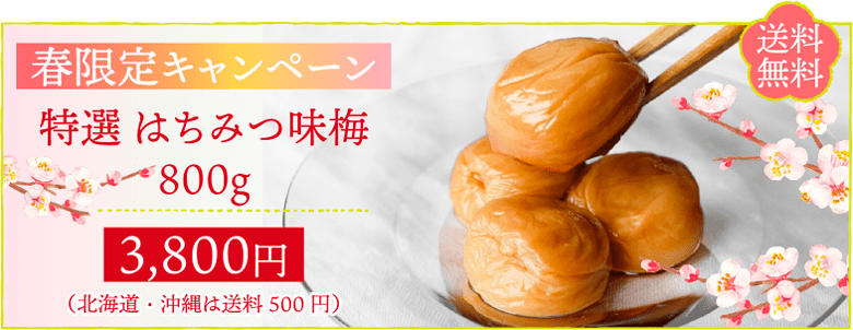 春限定 特選はちみつ味梅800gが送料無料で3800円