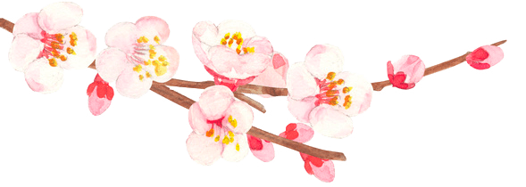 梅の花イラスト