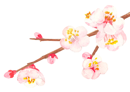 梅の花イラスト